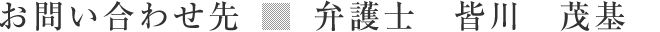 皆川茂基